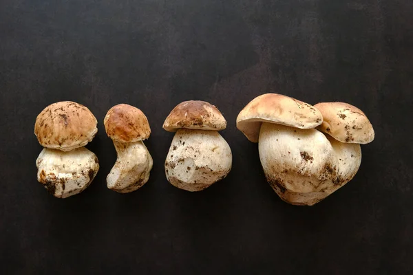 Nyers Gomba Boletus Fekete Háttér — Stock Fotó