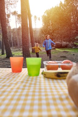 Mutlu kardeşler piknikte birlikte oynuyorlar.