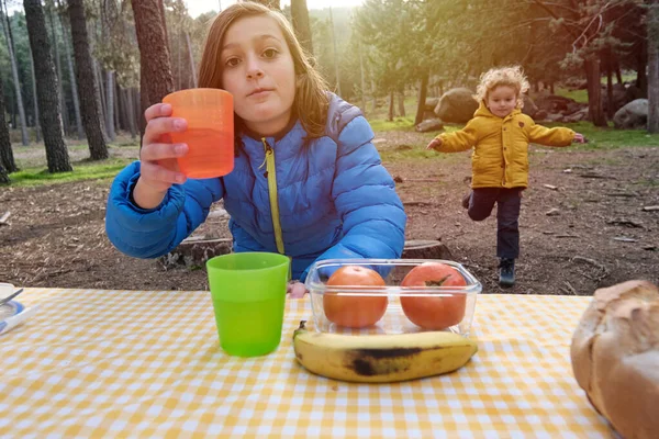 Bröder Picknick Begreppet Hälsosamt Liv — Stockfoto