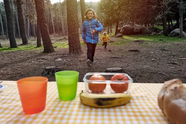 Två Glada Pojke Picknick — Stockfoto