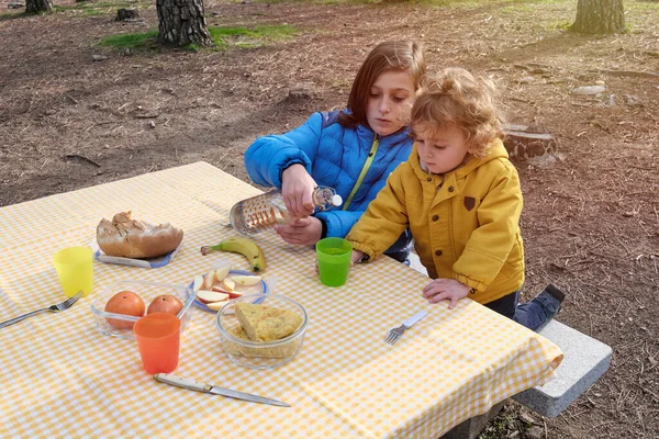 Dos Niños Disfrutando Picnic Bosque — Foto de Stock