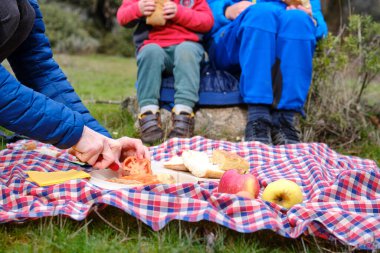 Anne, çocukları sandviç yerken domates dilimliyor, tarlada piknik yapıyor.