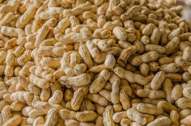 Fıstık yığını üzerinde satış