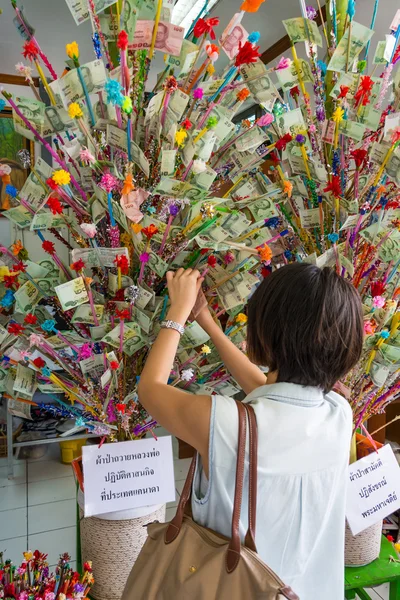 Thai woman donating in the donation tree in Visakha Bucha day — Stock Photo, Image