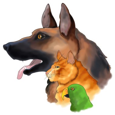 Bir sütunda dört gözle üç evcil hayvan kroki çizimleri oluşur, köpek, kedi ve izole arka planda bir papağan kuş, vektör tarafından oluşturmak