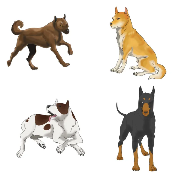 İçinde dört çeşitli türler simge seti, köpek evde beslenen hayvan illüstrasyon vektör tarafından oluşturmak — Stok Vektör