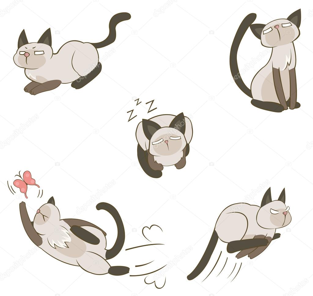 Siamese Cat Cartoon Drawing