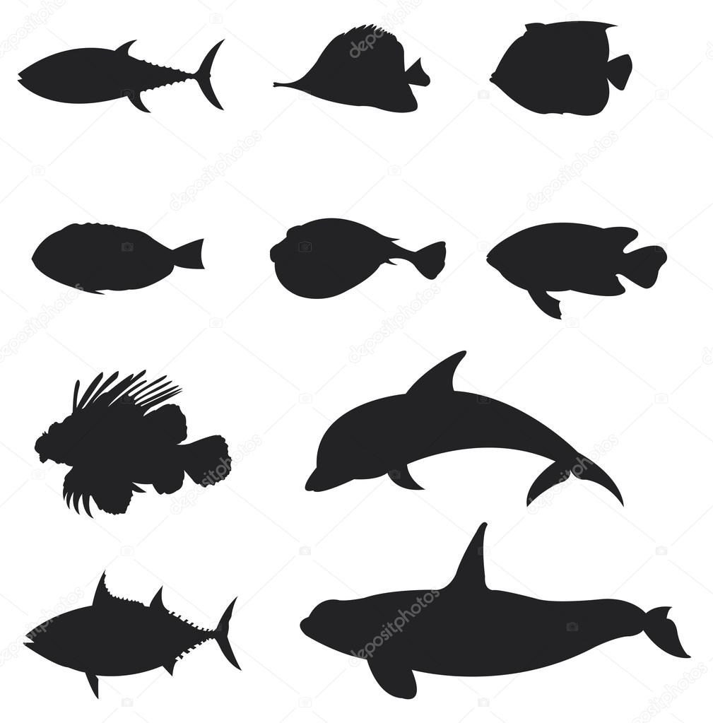 Sets of silhouette slat water Fishes icon set 2, create by vector