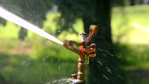Eine automatische Sprinkleranlage aus Metall, die mit hoher Geschwindigkeit Wasser aus der Düse auf Feld, Baum und Pflanzengarten als Gartenwerkzeug streut (bessere Qualität 1920x1080 hd)) — Stockvideo
