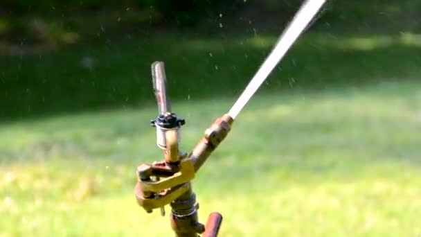 Eine automatische Sprinkleranlage aus Metall schießt mit hoher Geschwindigkeit Wasser aus der Düse auf Feld, Baum und Pflanzengarten als Gartenwerkzeug in HD-Qualität Stock Video — Stockvideo