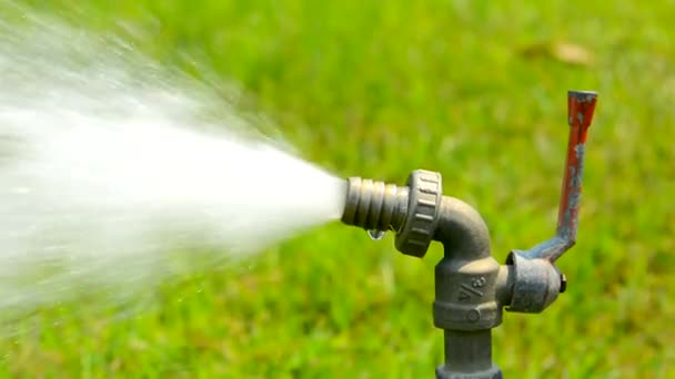 Un rubinetto metallico spara acqua dall'ugello con grande velocità sul campo, albero e pianta in giardino per l'attrezzo da giardinaggio in HD — Video Stock