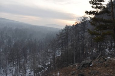 Günün sonunda, ormanda. 