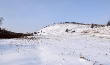 Trans-Baykal Bölgesi Kış Ormanı