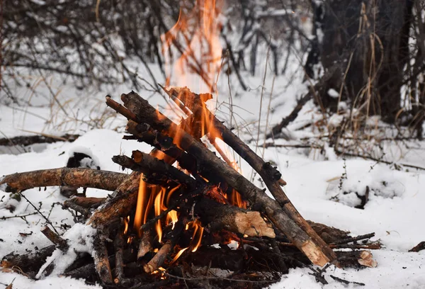 Kışın kamp ateşinin yanında ısınmak güzeldir. 