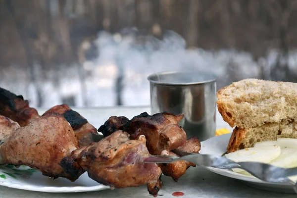 Kış ormanında öğle yemeği 