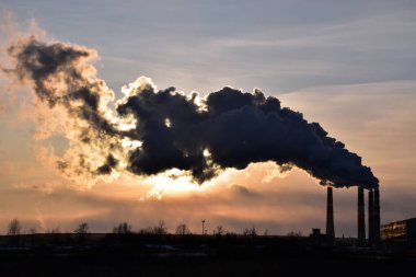 Trans-Baykal Bölgesi Ekolojisi 