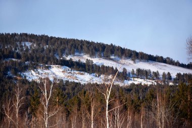 Trans-Baykal Bölgesinin Kış Doğası