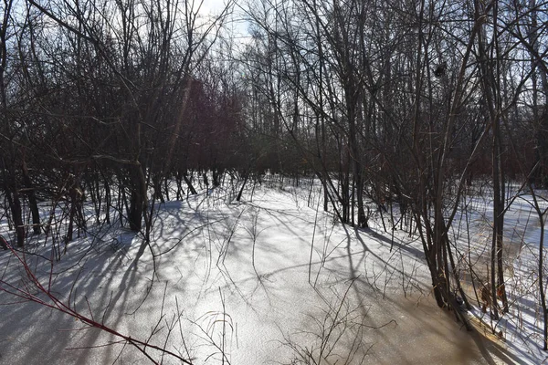 Trans-Baykal Bölgesinin Kış Doğası