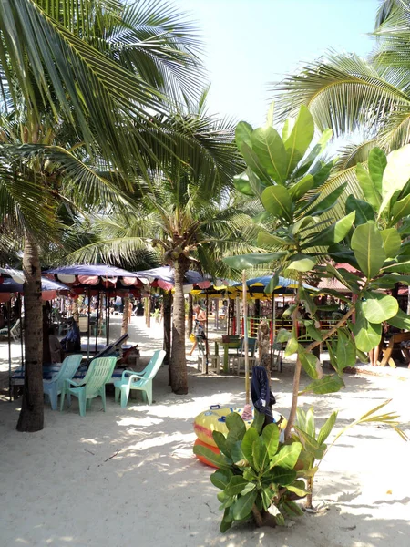 Adada güneşli güzel bir sahil 