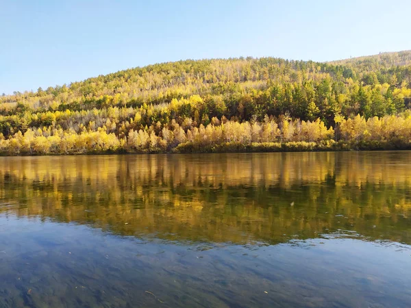 Trans-Baykal bölgesinin sonbahar ormanı 