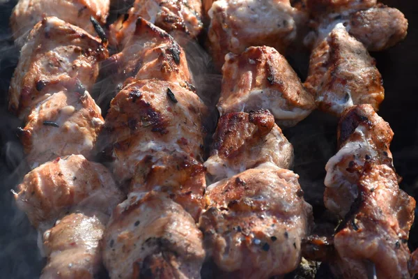Doğada iştah açıcı domuz kebabı. 