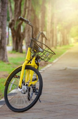 Sarı bisiklet hala yolda halka açık bir bahçede yumuşak ve ılık bir ışıkla