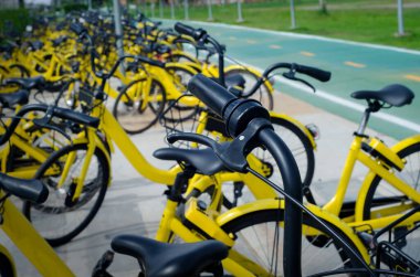 Sarı bisiklet hala kamu bahçesinde yolda.