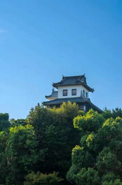 Kasteel Kakegawa — Stockfoto