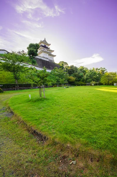 Kakegawa замок — стокове фото