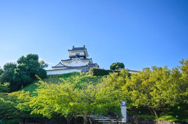 Kakegawa замок — стокове фото