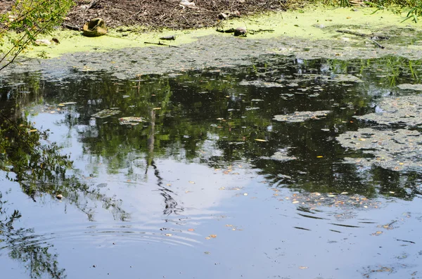 Contaminación del agua — Foto de Stock