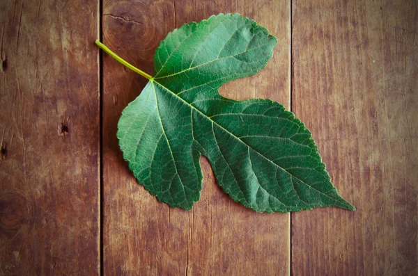 Green leaf on wooden background — Stock Photo, Image