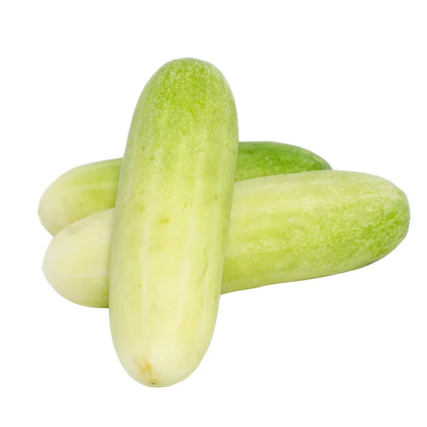 Green fresh cucumber — Stock Photo, Image