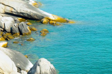 Deniz kıyı şeridi ve taş