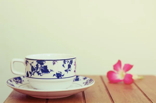 Coffe cup and Desert Rose — Stock Photo, Image