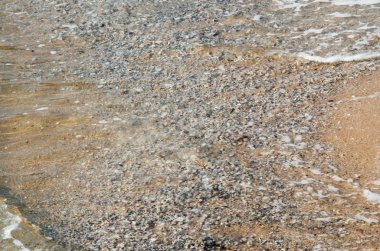 Deniz kıyı şeridi sahil