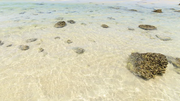 Sea beach nature — Stock Photo, Image