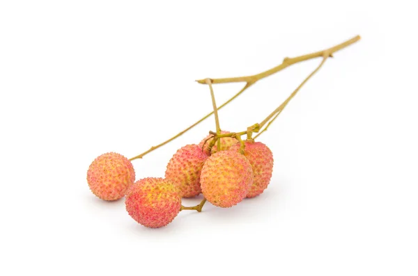 Mogen lychee (Litchi chinensis) — Stockfoto