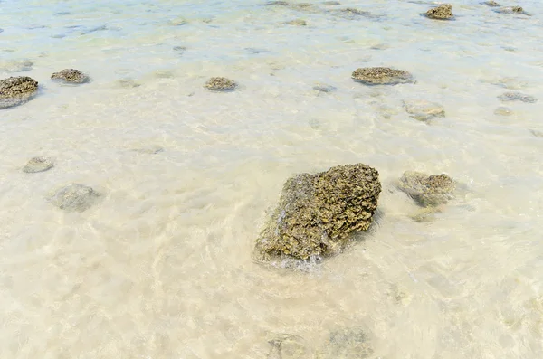 Havet stranden natur — Stockfoto