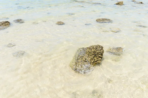 Tengerre strand kő — Stock Fotó