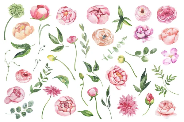 Illustrazione floreale ad acquerello - fiori e foglie per matrimonio stazionario, saluti, sfondi, sfondo. Rose, peonie foglie verdi. — Foto Stock