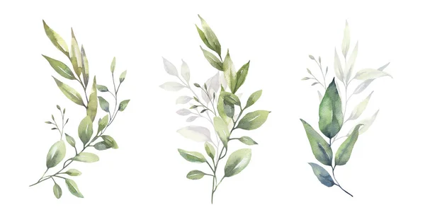 Watercolor floral illustration set - green leaf branches bouquets collection, for wedding stationary, greetings, wallpapers, fashion, background. 유칼립투스, 올리브, 초록 잎등등. — 스톡 사진