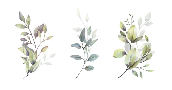 Watercolor floral illustration set - green leaf branches bouquets collection, for wedding stationary, greetings, wallpapers, fashion, background. 유칼립투스, 올리브, 초록 잎등등. — 스톡 사진