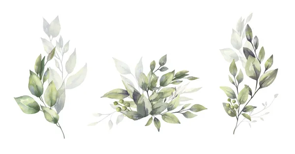 Aquarelle ensemble d'illustration florale - collection de bouquets de branches de feuilles vertes, pour mariage stationnaire, salutations, fonds d'écran, mode, fond. Eucalyptus, olive, feuilles vertes, etc.. — Photo