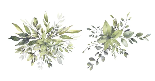 Акварельний квітковий ілюстраційний набір - колекція зелених листяних гілок, для весільних стаціонарних, вітальних, шпалер, моди, фону. Евкаліпт, оливкове, зелене листя і т.д. . — стокове фото