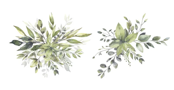 Watercolor floral illustration set - green leaf branches bouquets collection, for wedding stationary, greetings, wallpapers, fashion, background. 유칼립투스, 올리브, 초록 잎등등. — 스톡 사진