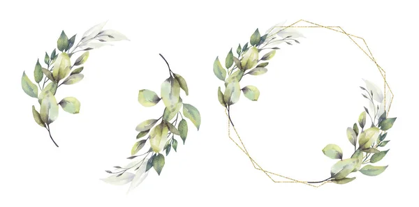 Akvarell blommig illustration set - grönt löv ram samling, för bröllop stationära, hälsningar, tapeter, mode, bakgrund. Eukalyptus, oliver, gröna blad etc.. — Stockfoto