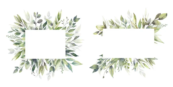 Conjunto de ilustración floral de acuarela - colección de marco de hoja verde, para papelería de boda, saludos, fondos de pantalla, moda, fondo. Eucalipto, aceituna, hojas verdes, etc.. —  Fotos de Stock