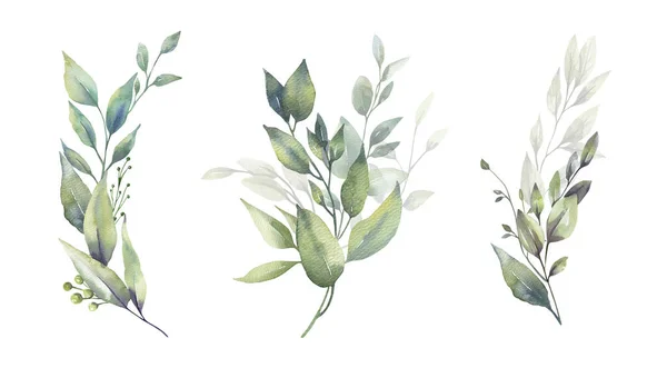 Akwarela kwiatowy ilustracja zestaw - zielony liść gałęzie bukiety kolekcja, na ślub stacjonarny, pozdrowienia, tapety, moda, tło. Eukaliptusa, oliwek, zielonych liści itp.. — Zdjęcie stockowe
