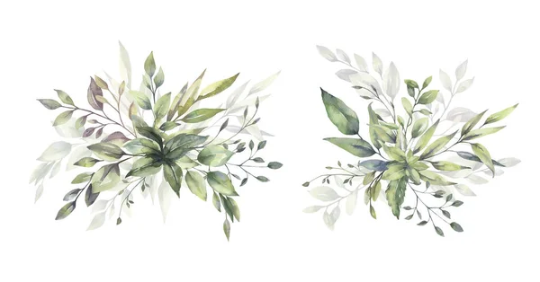 Watercolor floral illustration set - green leaf branches bouquets collection, for wedding stationary, greetings, wallpapers, fashion, background. 유칼립투스, 올리브, 초록 잎등등. — 스톡 사진